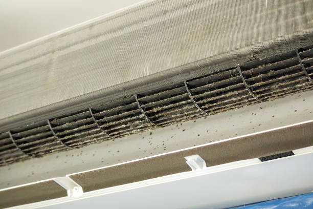 Best Dryer Vent Cleaning Services  in Combine, TX